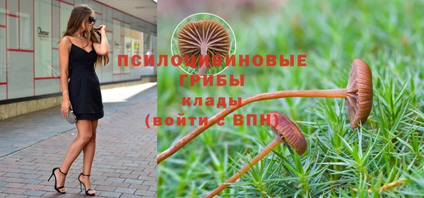 ALPHA PVP Михайловск